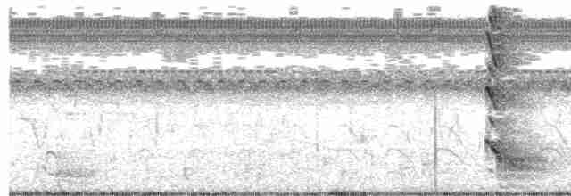 אנפית מנגרובים - ML612875201