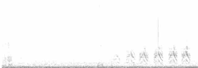Кактусовый крапивник - ML612878774