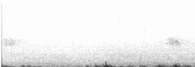 Пісочник довгодзьобий - ML612879280