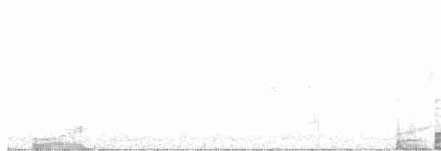 Red Crossbill (Western Hemlock or type 3) - ML612881408
