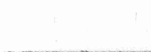 Boz Alınlı Sinekkapan - ML612882819