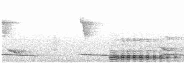 Серый павлиний фазан - ML612883345