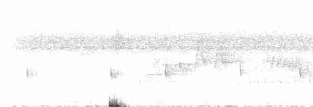White-throated Crake - ML612883412