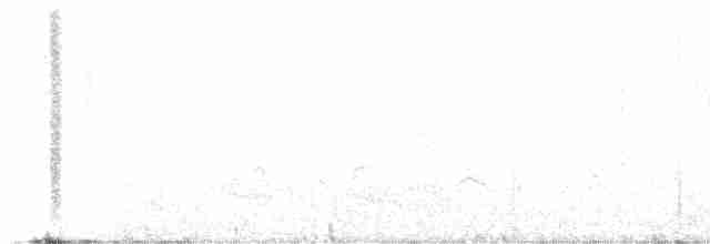 Eurasian Curlew - ML612885864