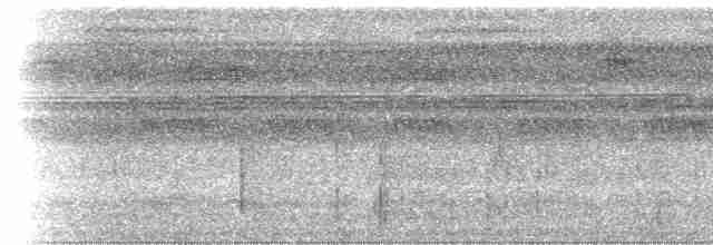 Collared Trogon (Collared) - ML612891727