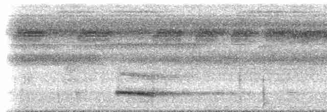Тукан чорнодзьобий (підвид culminatus/pintoi) - ML612891730