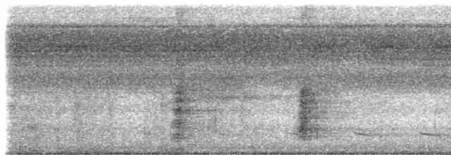 gråvingetrompetfugl (napensis) - ML612891734