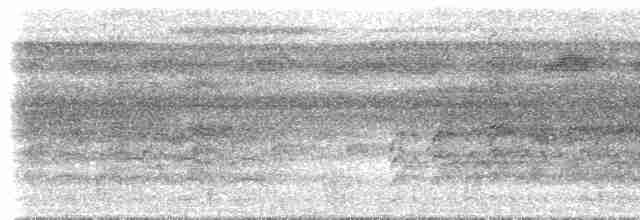 オウム目（インコ科 小さな種） - ML612891754