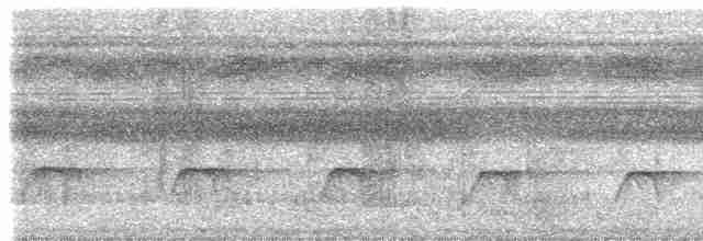 Лінивка-коротун бура - ML612892023
