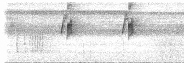 Большеклювый колибри-отшельник [группа moorei] - ML612892093