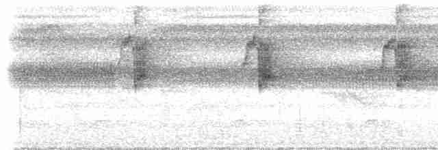 Большеклювый колибри-отшельник [группа moorei] - ML612892140