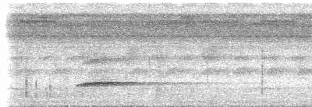 Troglodyte coraya - ML612892278