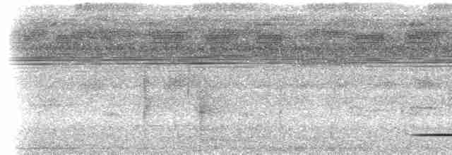 Ockerflecken-Ameisenwächter - ML612892284