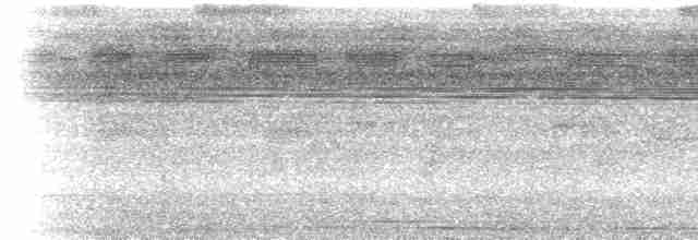 Undulated Tinamou - ML612892294