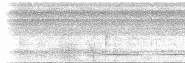 Undulated Tinamou - ML612892509
