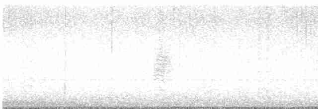 Cozumel Vireo - ML612895440