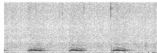 Сова плямиста - ML612896378