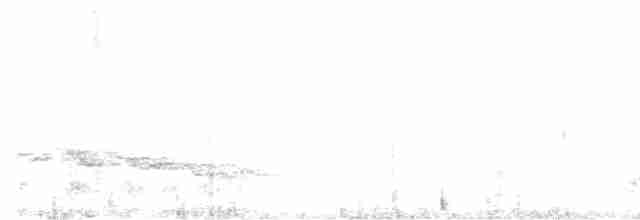 Kara Gagalı Koca Vireo - ML612899505