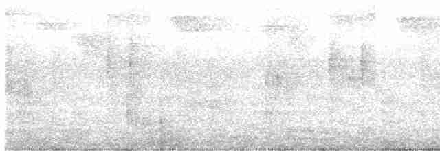Riperyan Çıtkuşu - ML612901119
