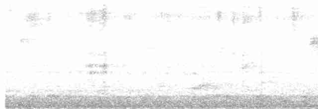 svarttopphjertespett - ML612913084