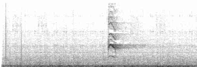 Torresian Kingfisher - ML612913988