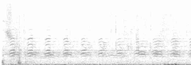 Белобрюхий орлан - ML612915757