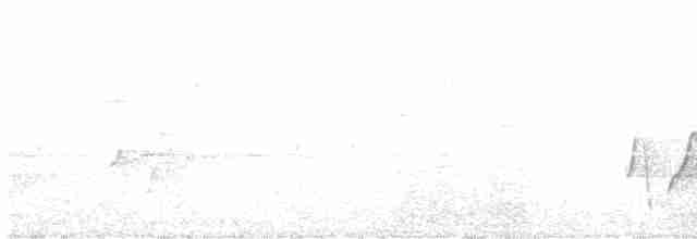 Медник блідий - ML612916710