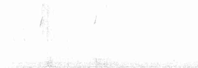 Chochín Hiemal - ML612918445