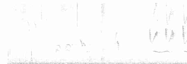Cuitlacoche Ocelado - ML612926935