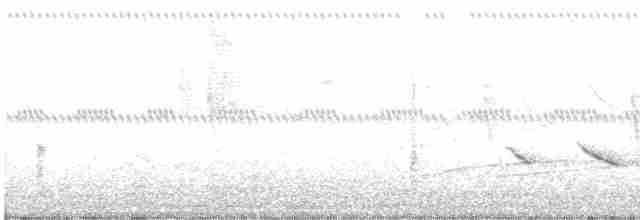 Трупіал чорноволий - ML612927621