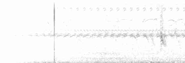 White-browed Meadowlark - ML612927794