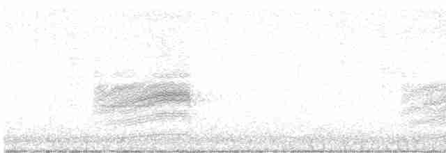 Тауї плямистий - ML612928344