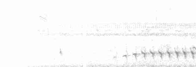 Каатинга великодзьоба - ML612928612