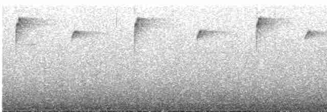 Ржавчатый колибри-отшельник - ML612929441