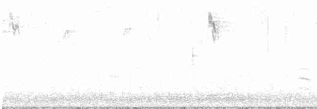 Weißbrustkleiber - ML612929620