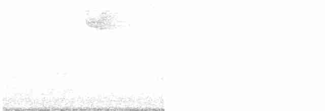 strnadec bělohrdlý - ML612930614