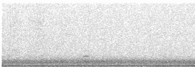 Kara Gagalı Saksağan - ML612930793