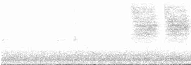Длиннохвостый крапивник - ML612930936