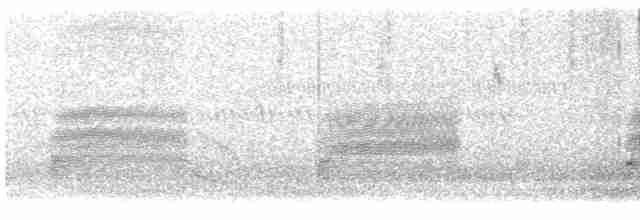 Loggerhead Shrike - ML612934444