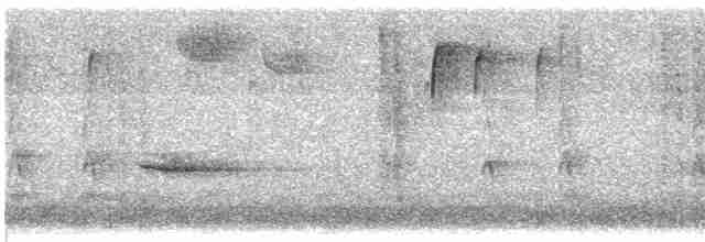 Дрізд-короткодзьоб плямистоволий - ML612939220