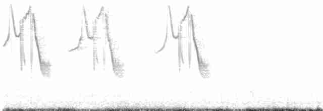 Band-tailed Sierra Finch - ML612943019