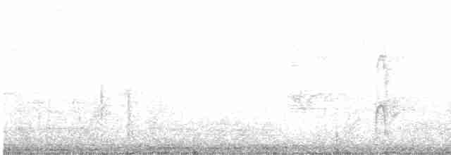 strakapoud hnědokřídlý - ML612943168