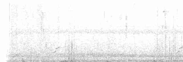 Морщинистоклювая ани - ML612947668