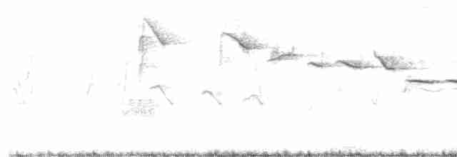 White-browed Warbler - ML612950500