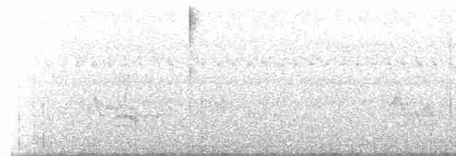 Рубиновогорлый колибри - ML612952323