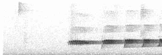 Каштановый скрытохвост - ML612953411