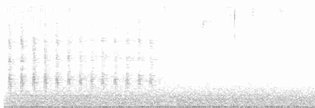 Rotbrustfischer (torquata/stictipennis) - ML612955491