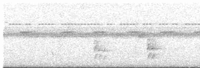 Темноголовый крапивник - ML612955779