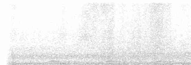 Сова плямиста - ML612956131