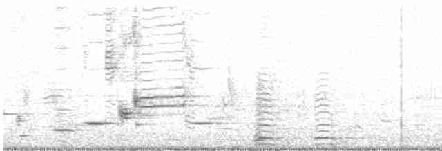 Cisne Trompetero - ML612956562